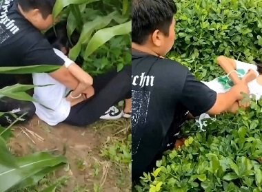 Hiếp dâm bạn học ngay tại cánh đồng